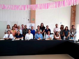 Personal de la Delegación Regional Veracruz, participa en Mesa de Trabajo Interinstitucional en favor de la niñez