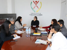 CEDHV Y SIPINNA trabajaran de la mano para proteger y difundir los derechos de las infancias