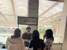 CEDHV participó en el Festival “Terra Viva” organizado por la UV